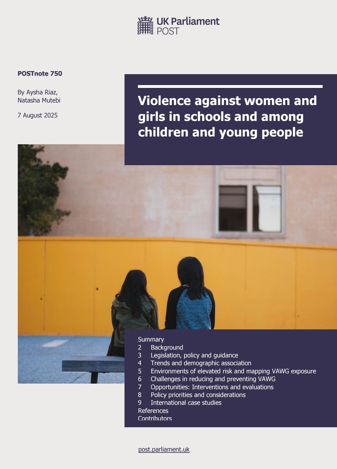 A government briefing on Violence against women and girls