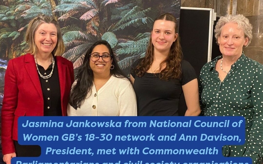 Jasmina Jankowska and Ann Davison met with Commonwealth Parliamentarians and civil society organisations