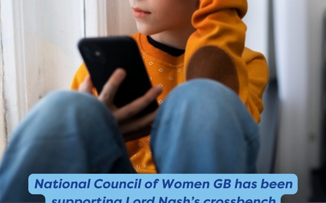 National Council of Women GB has been supporting Lord Nash’s crossbench amendment to protect children from harmful social media.